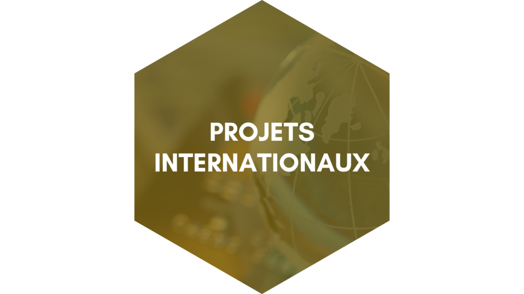 projets internationaux