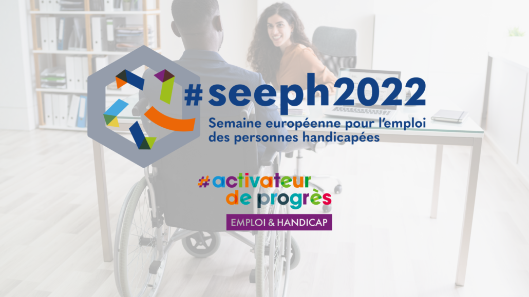seeph 2022 disability at work