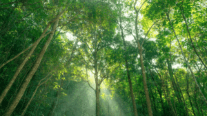 Plan de réduction carbone stratégique analysé sur tableau de bord pour une transition énergétique en entreprise.