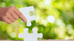 Calcul de la C3S et analyse du chiffre d'affaires pour la déclaration de contribution sociale de solidarité des sociétés.