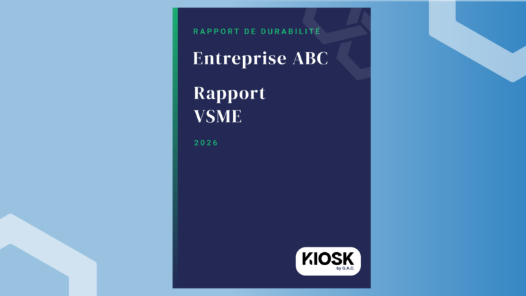 VSME reporting structure for SMEs detailing ESG pillars and responsible growth performance.